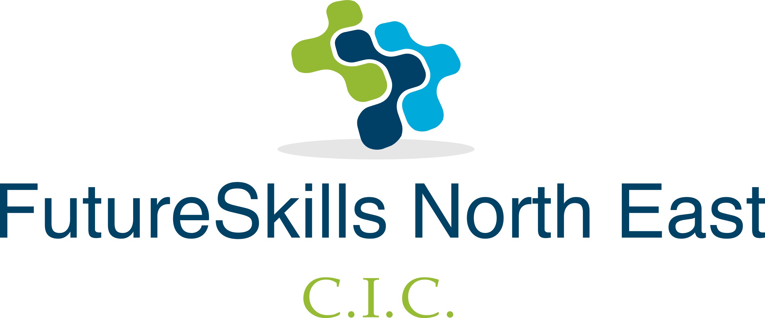 Logo of FutureSkills North East CIC