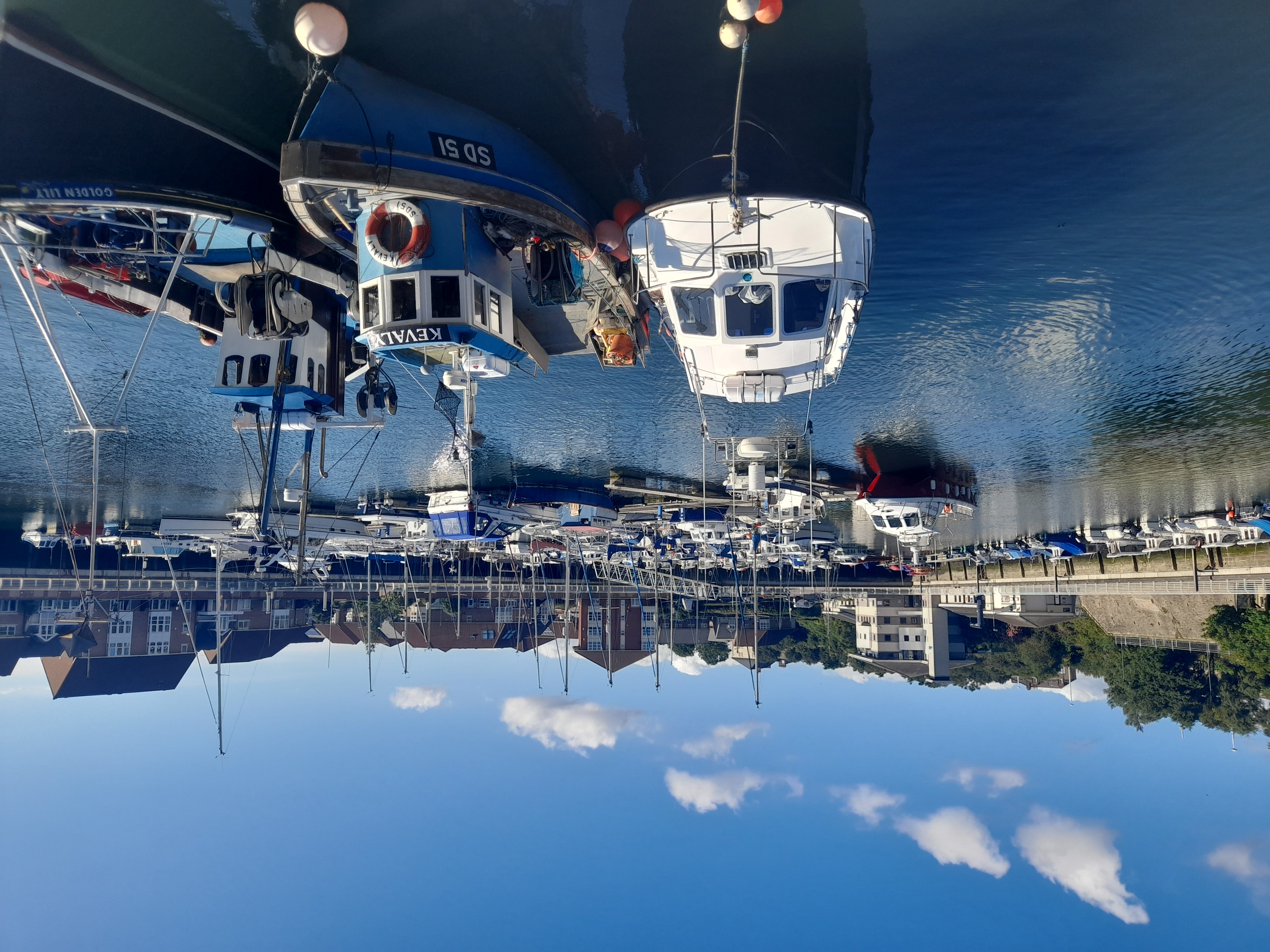 A view of Sunderland Marina on a bright day, with moored boats.
