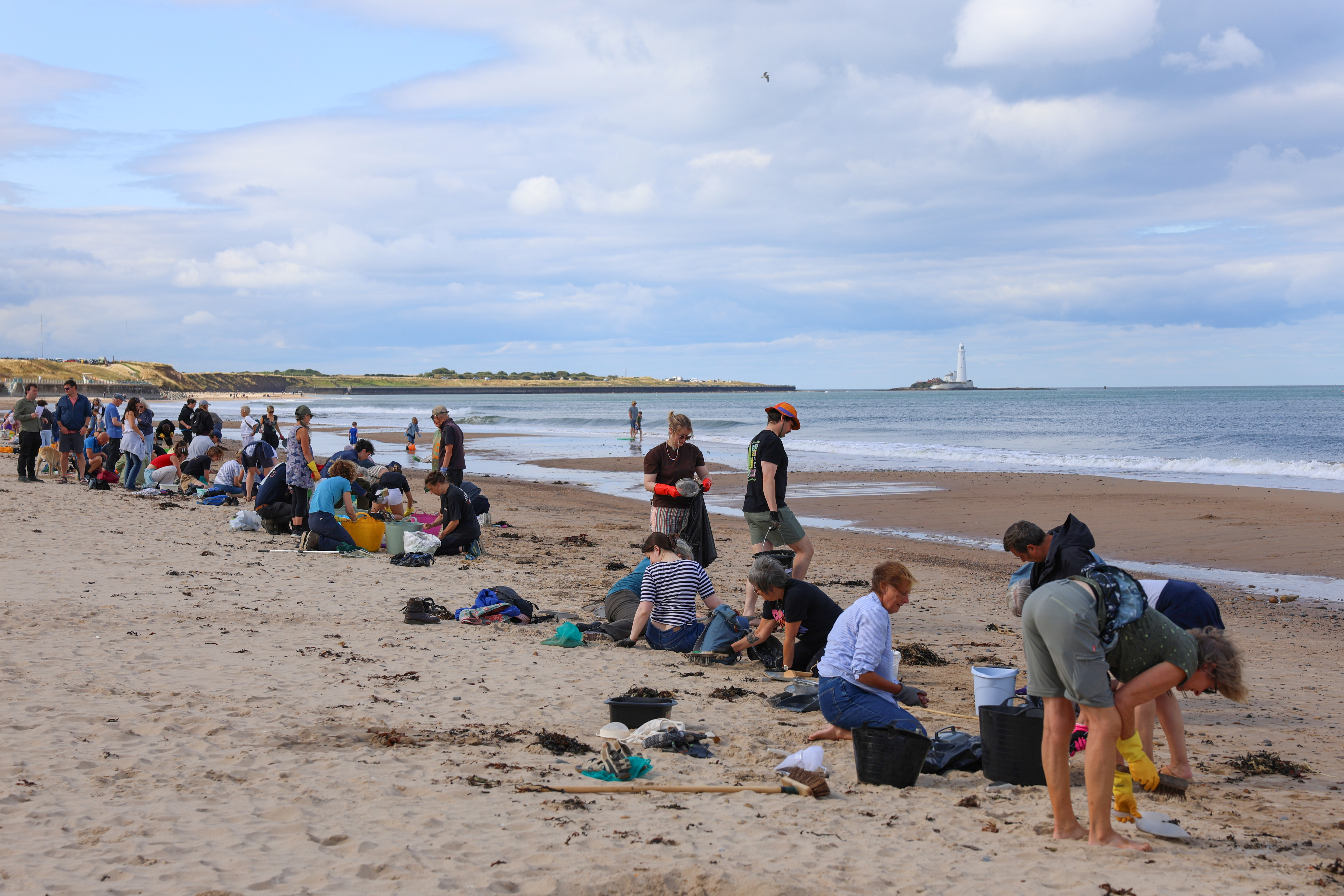 Large number of volunteers cleaning the beach along the coastline