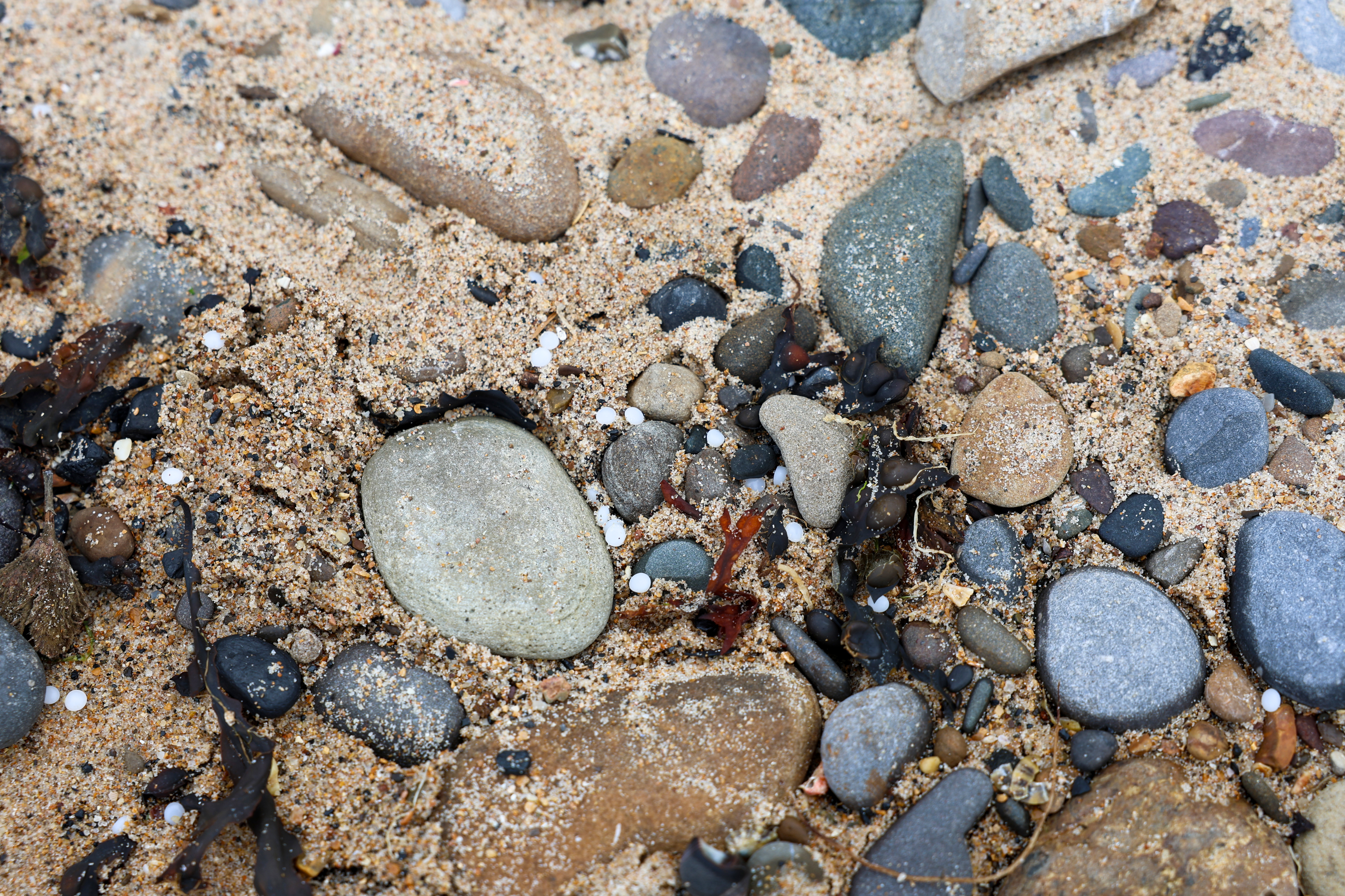 Photo of plastic pellets (nurdles) washed up on the beach