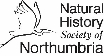 Logo of Natural History Society of Northumbria (NHSN)