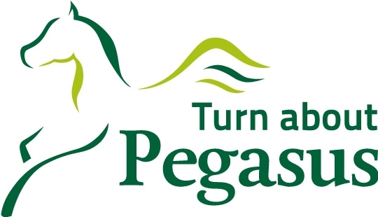 Logo of TURN ABOUT PEGASUS